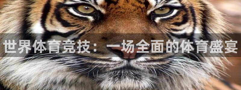 3377体育官网下载平台注册要钱吗:世界体育竞技:一场全面的