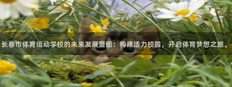 3377体育官网下载平台是正规平台吗:长春市体育运动学校的未